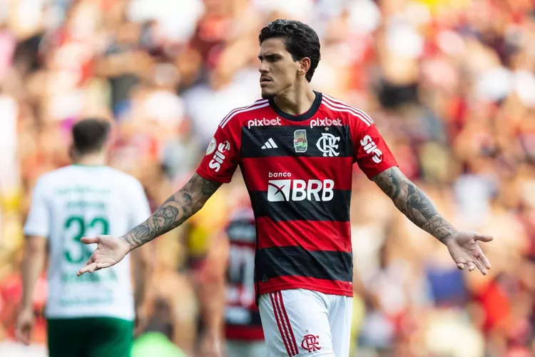 Klasemen Flamengo - Performa, Strategi, dan Harapan Tim di Liga