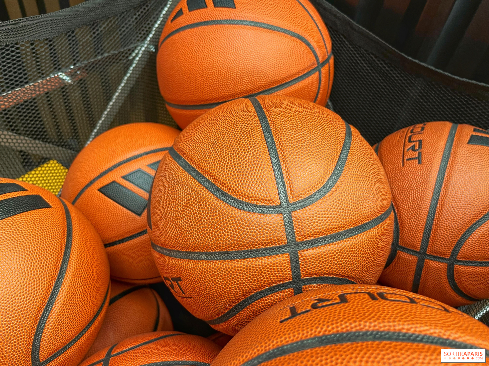 Eksplorasi Mendalam Cabang Bola Basket - Sejarah, Aturan, dan Strategi